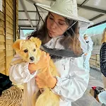 Milea Agritourism Farmház Trípoli