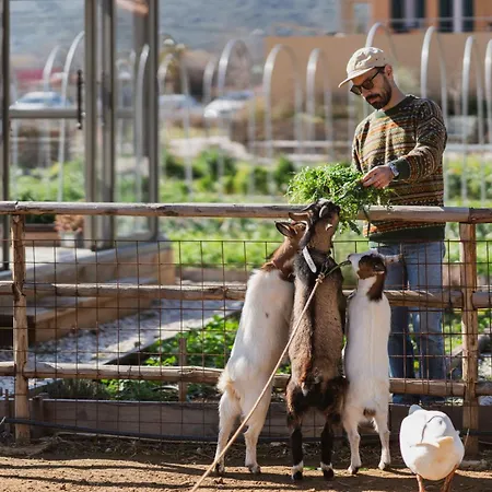Feriegård Milea Agritourism *
