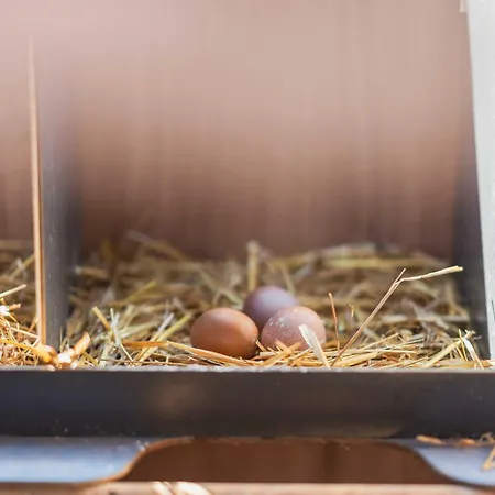 Milea Agritourism Tripoli