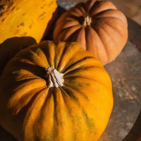 Milea Agritourism Bauernhof Tripoli