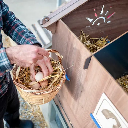 Vakantieboerderij Milea Agritourism Kápsas