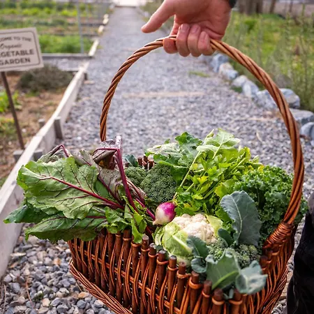 Milea Agritourism * Tripoli