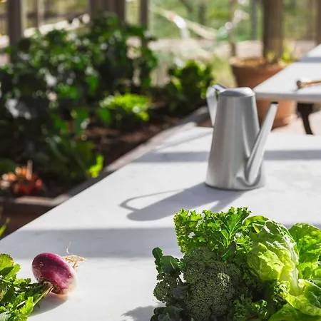 Milea Agritourism Bauernhof *