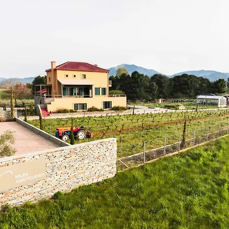 Agroturismo Milea Agritourism Trípoli