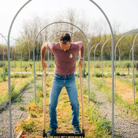 Feriegård Milea Agritourism