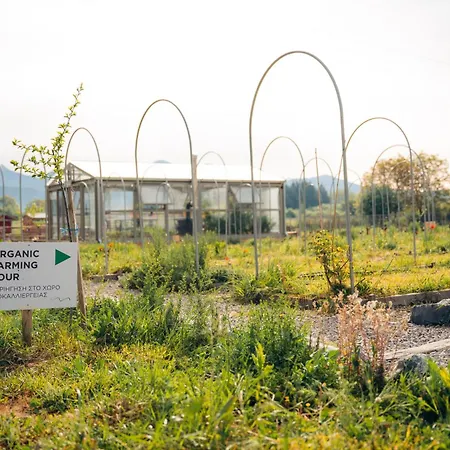 Feriegård Milea Agritourism Tripoli
