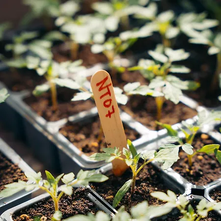 Milea Agritourism Tripoli