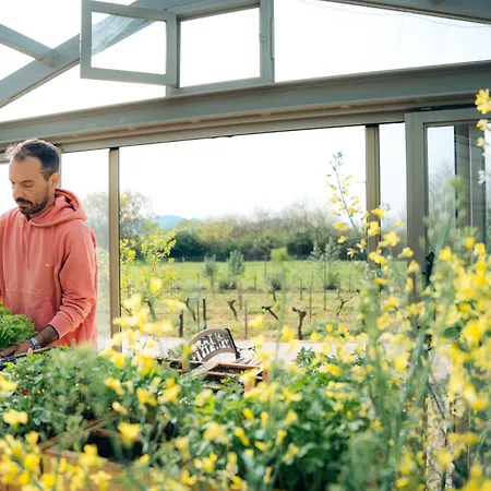Milea Agritourism Vakantieboerderij Kápsas