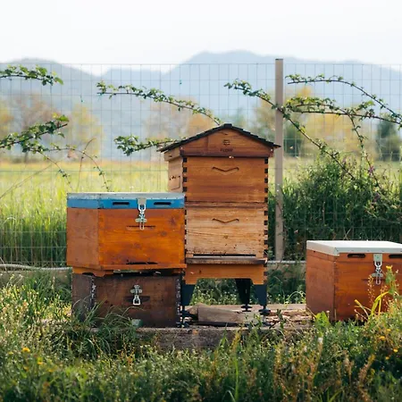 Lantgård Milea Agritourism