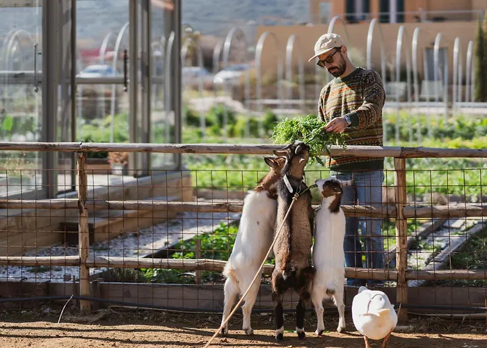农家乐 Milea Agritourism *