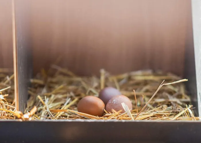 Milea Agritourism Trípoli