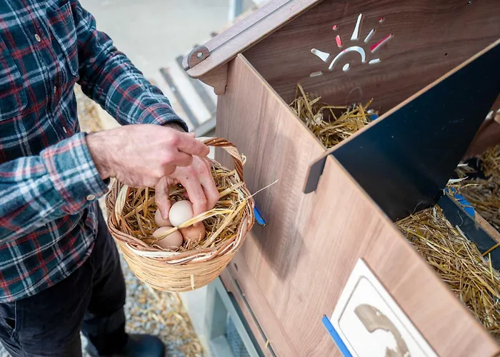 农家乐 Milea Agritourism 特里波利斯