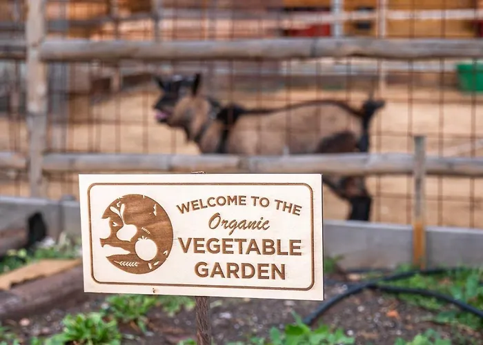 Farm stay Milea Agritourism Tripoli