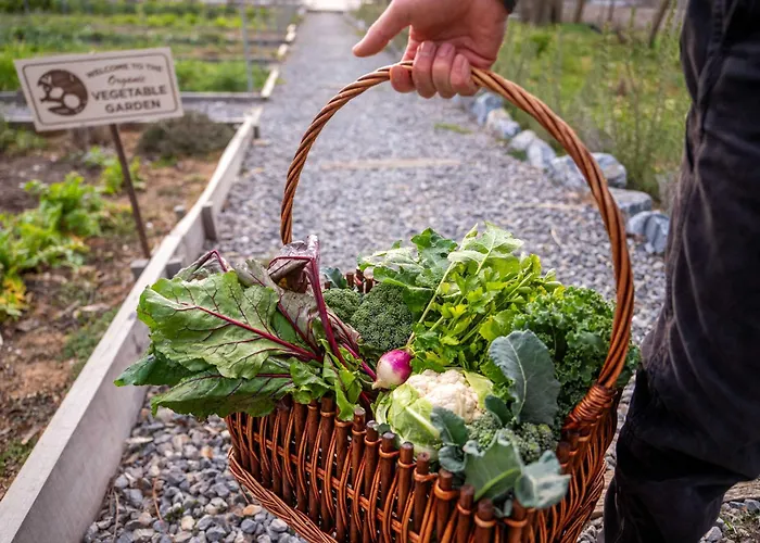 Milea Agritourism * Tripoli