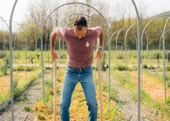 Lantgård Milea Agritourism