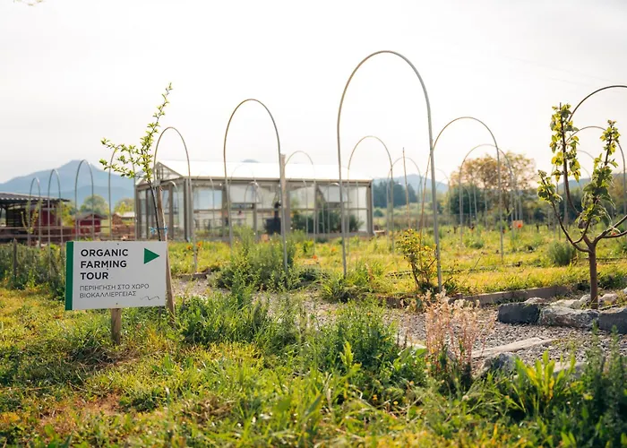 农家乐 Milea Agritourism 特里波利斯