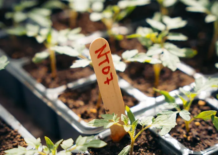 Milea Agritourism Tripoli