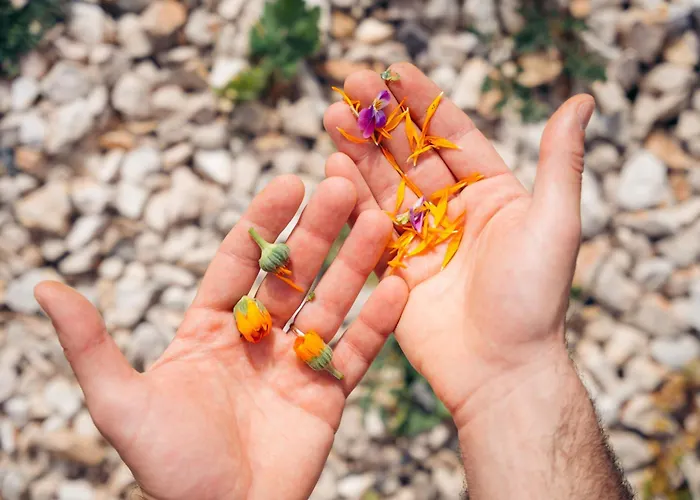 Farmház Milea Agritourism *