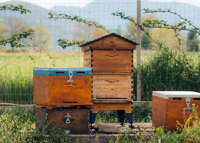 Farmház Milea Agritourism